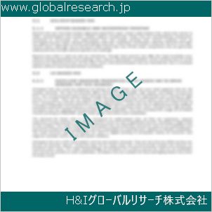 グローバルリサーチ調査資料のイメージ